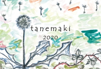 tanemaki 2020